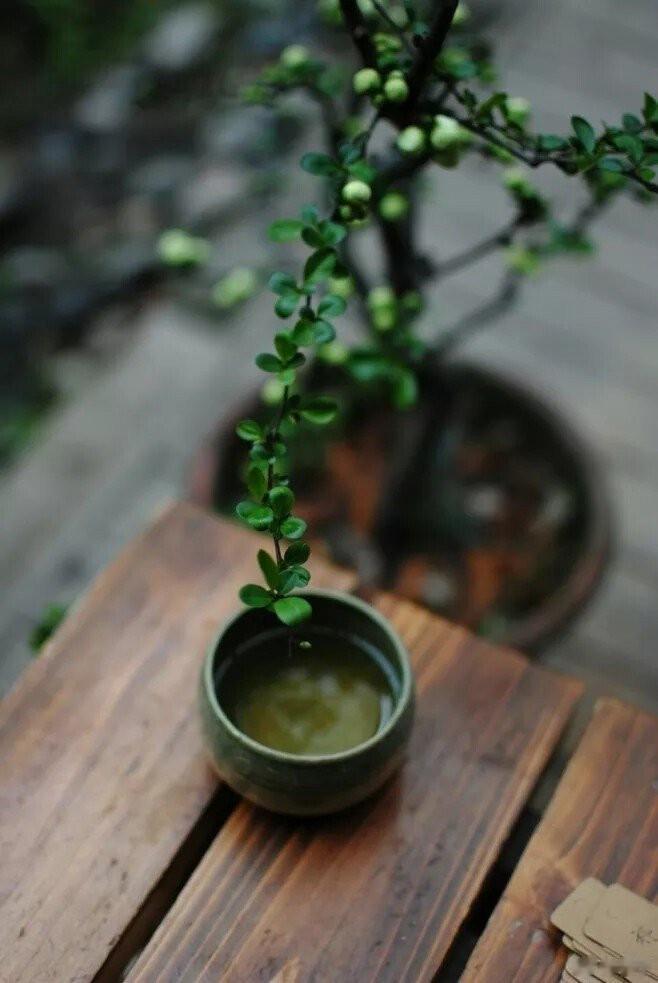 住世而不粘黏于世，承苦而不怨怼于苦，迎接喜悦而不执着于喜。——简媜《我为你洒下月