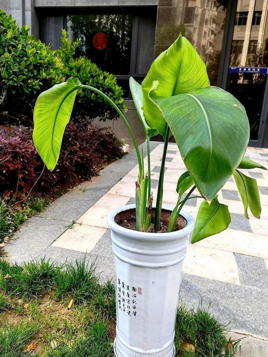 上午去医院看个脑梗病人，顺嘴问了句医生这病咋来的医生直接来一句：“脑梗都是自找的
