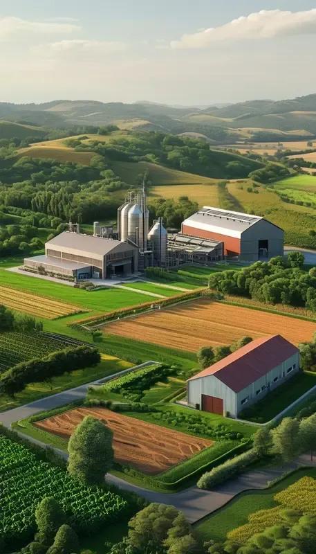 未来风口会是什么？从合村并镇的圈地运动到猪肉清退个人养殖，从地方高喊一切金融化，