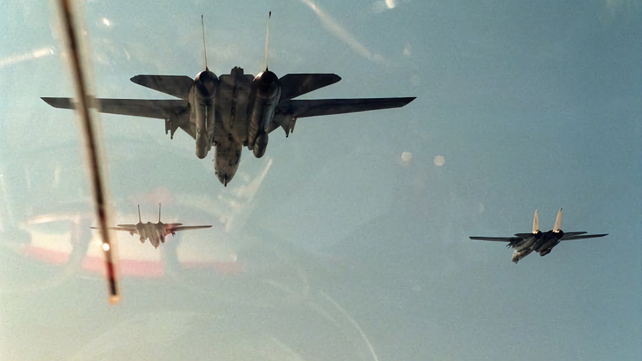 猫宁。一起来欣赏F-14大猫的猫屁股​​​