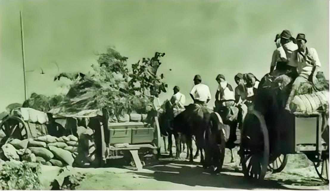 1938年11月，宋时轮得知第五大队200多人，被日军残忍杀害，当即率兵伏击日军