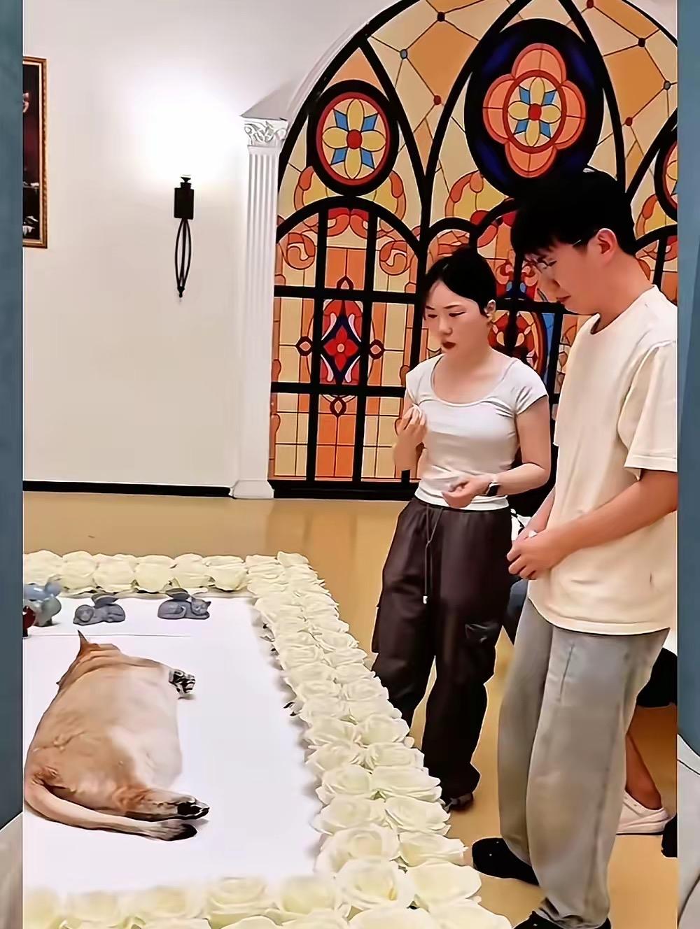 富人的生活让普通的人感觉到：真的活得不如狗！花15万为狗举办葬礼？哀乐响起，家