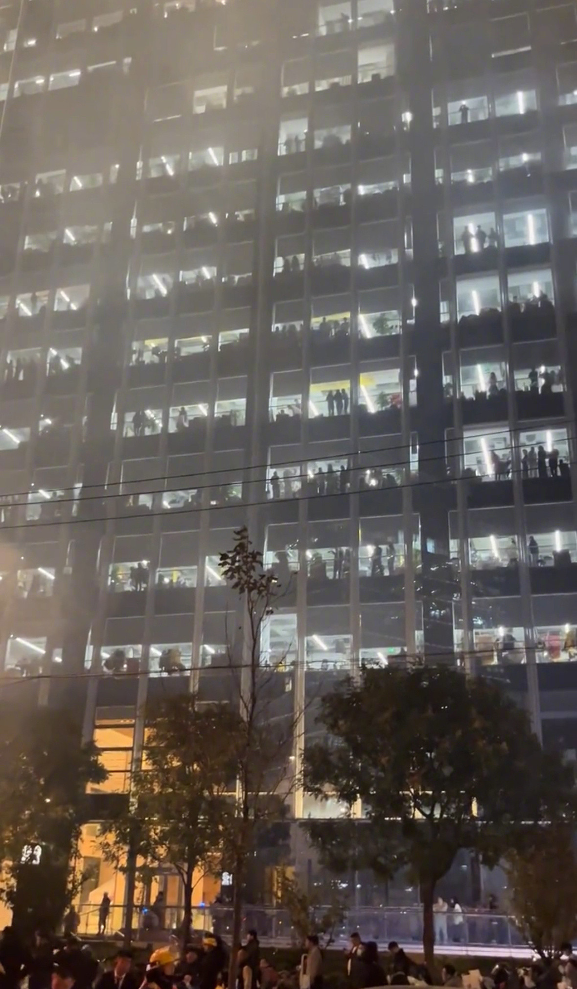 一生爱凑热闹的中国人​​​