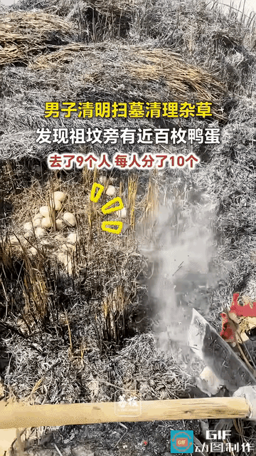 江西九江一位男子清明回乡，给太奶奶扫墓祭祖。一家人先清理坟头周围的杂草，收拾完又