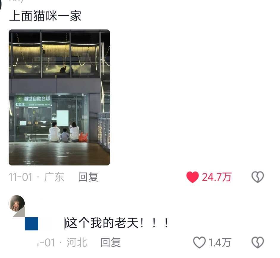 我就像一只老鼠一样偷窥别人的幸福