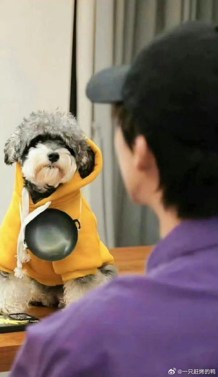 刘宇宁帮呆米卖马甲看刘宇宁就知道，草根出身真没啥丢人的。人家从丹东街头唱歌起步，