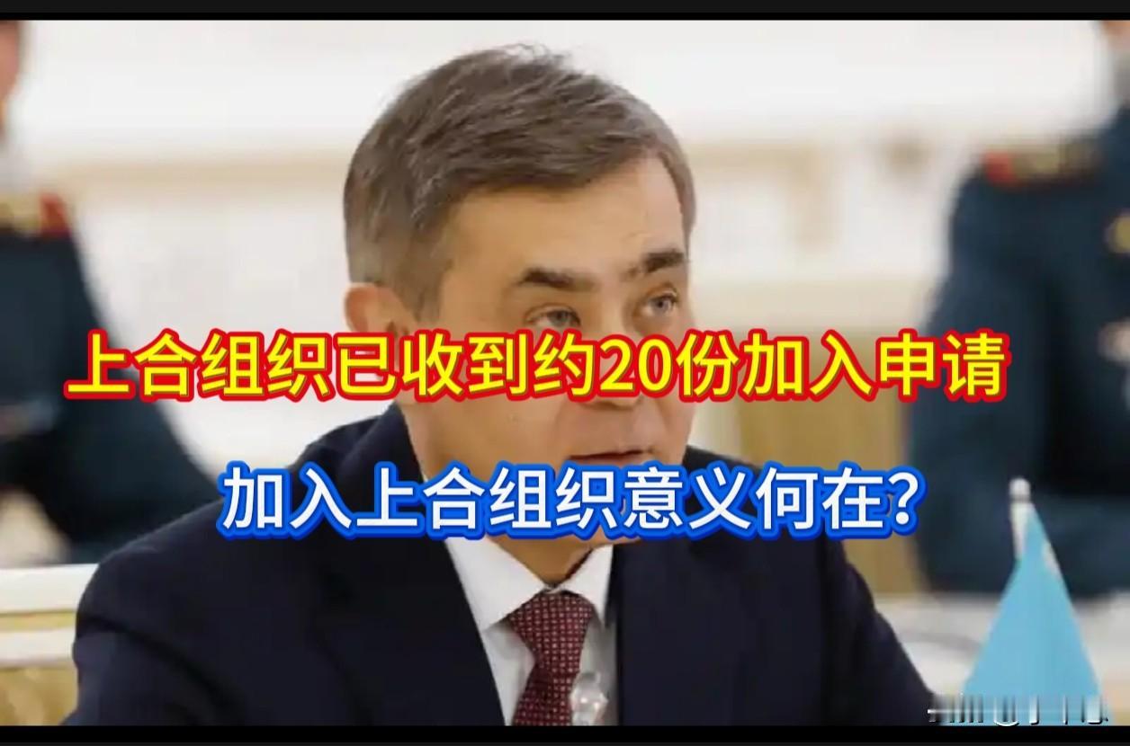 上合组织已收到约20份加入申请，加入上合组织意义何在？6月15日，在北京。上