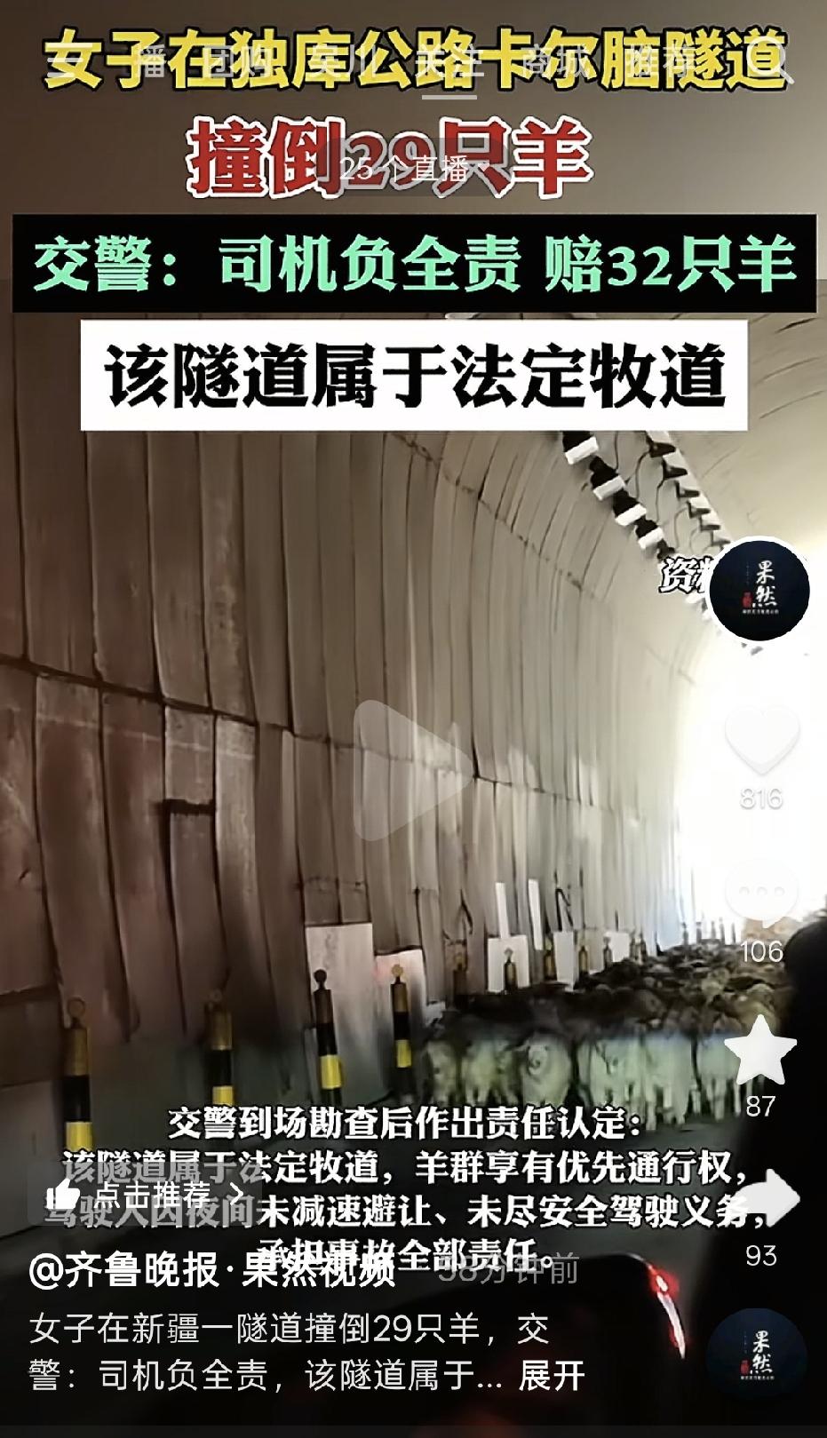 在新疆独库公路那边，女子开车在隧道里不注意，撞上了牧民放养的29只羊群，这起事故