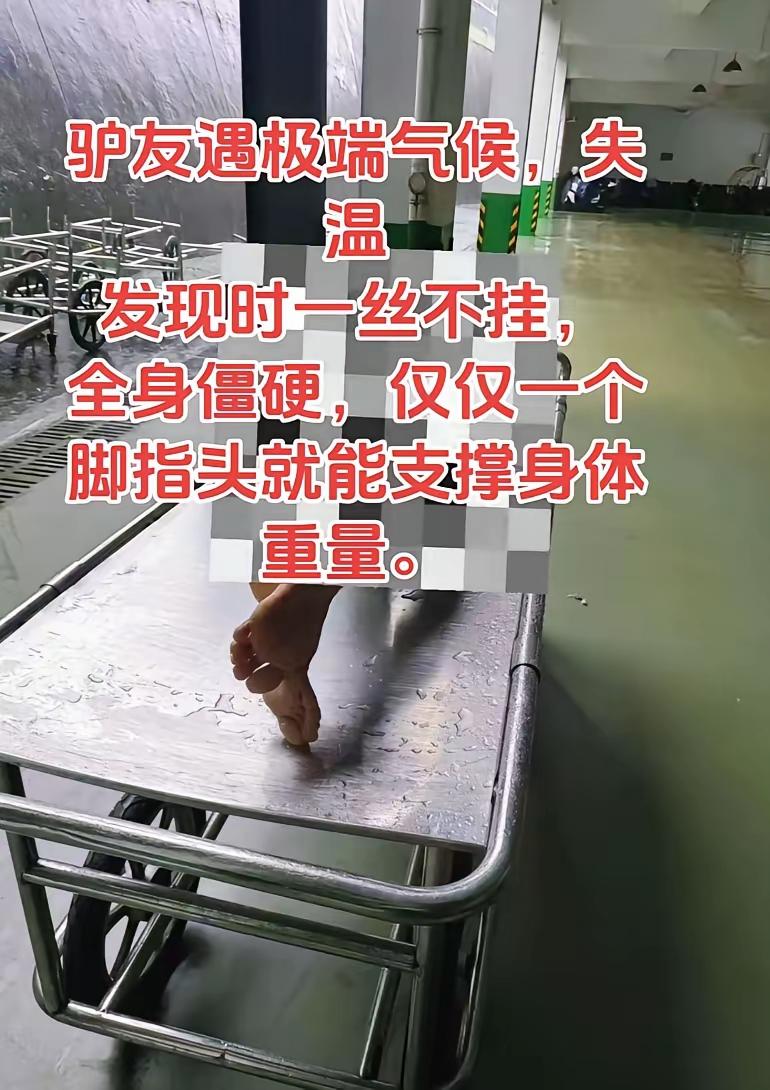 人在被冻的时候，大脑中的反应是太热，所以要脱衣服，很多冻死的人，最后是脱光衣服的