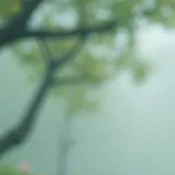 正能量正能量看得开，不是对命运的屈服，而是认清现实后的主动调适；想得开
