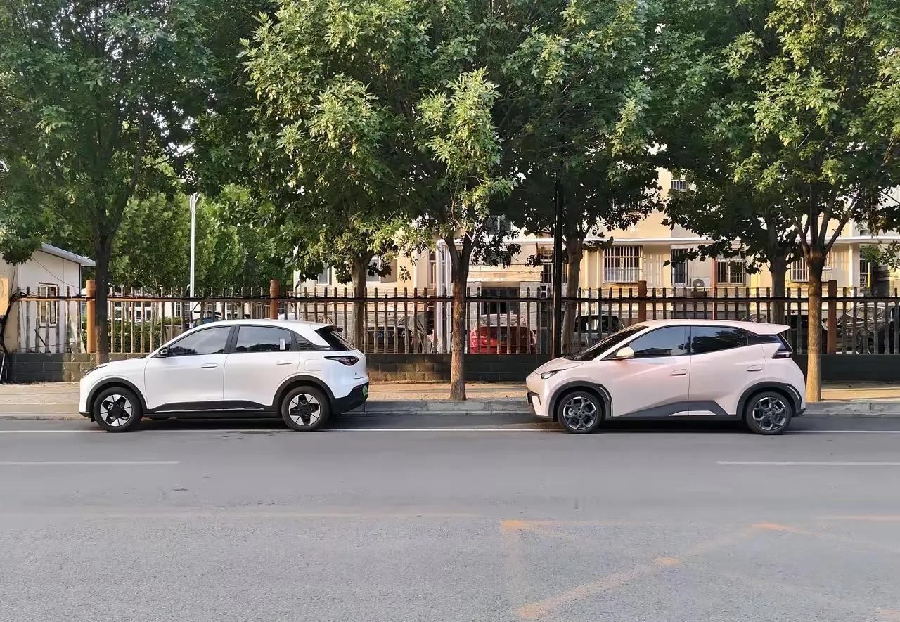 现在星愿和海鸥两汽车，目前的售价都是在7万上下左右，可以说是各有千秋特点呀。