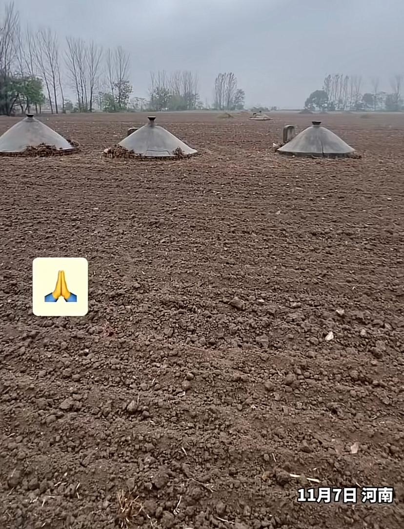 坐标河南农村，坟土堆用水泥封死，担心长草或塌平，这样是省着打理了，但是总感觉违背