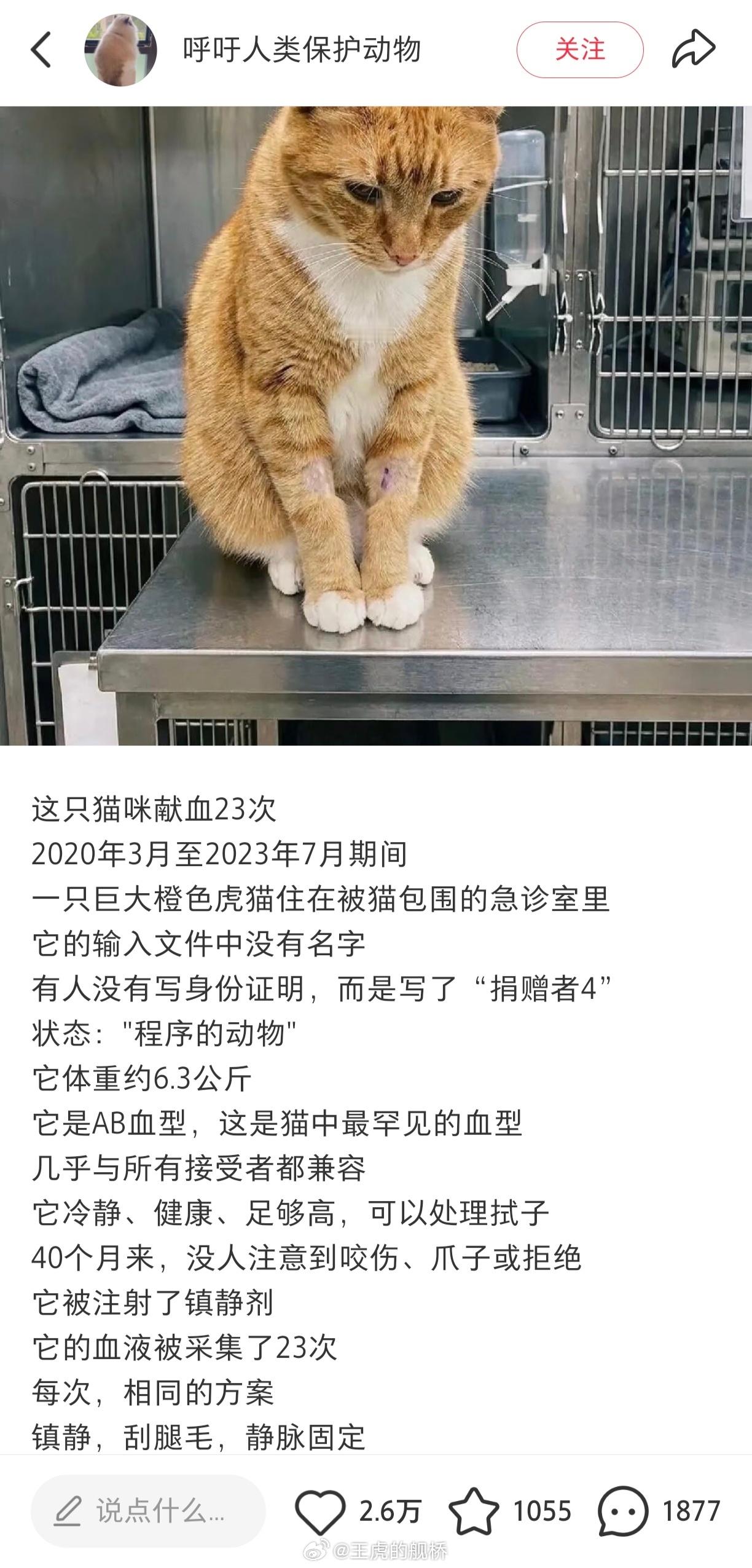 依旧猫猫专供恐怖片这一块…😨