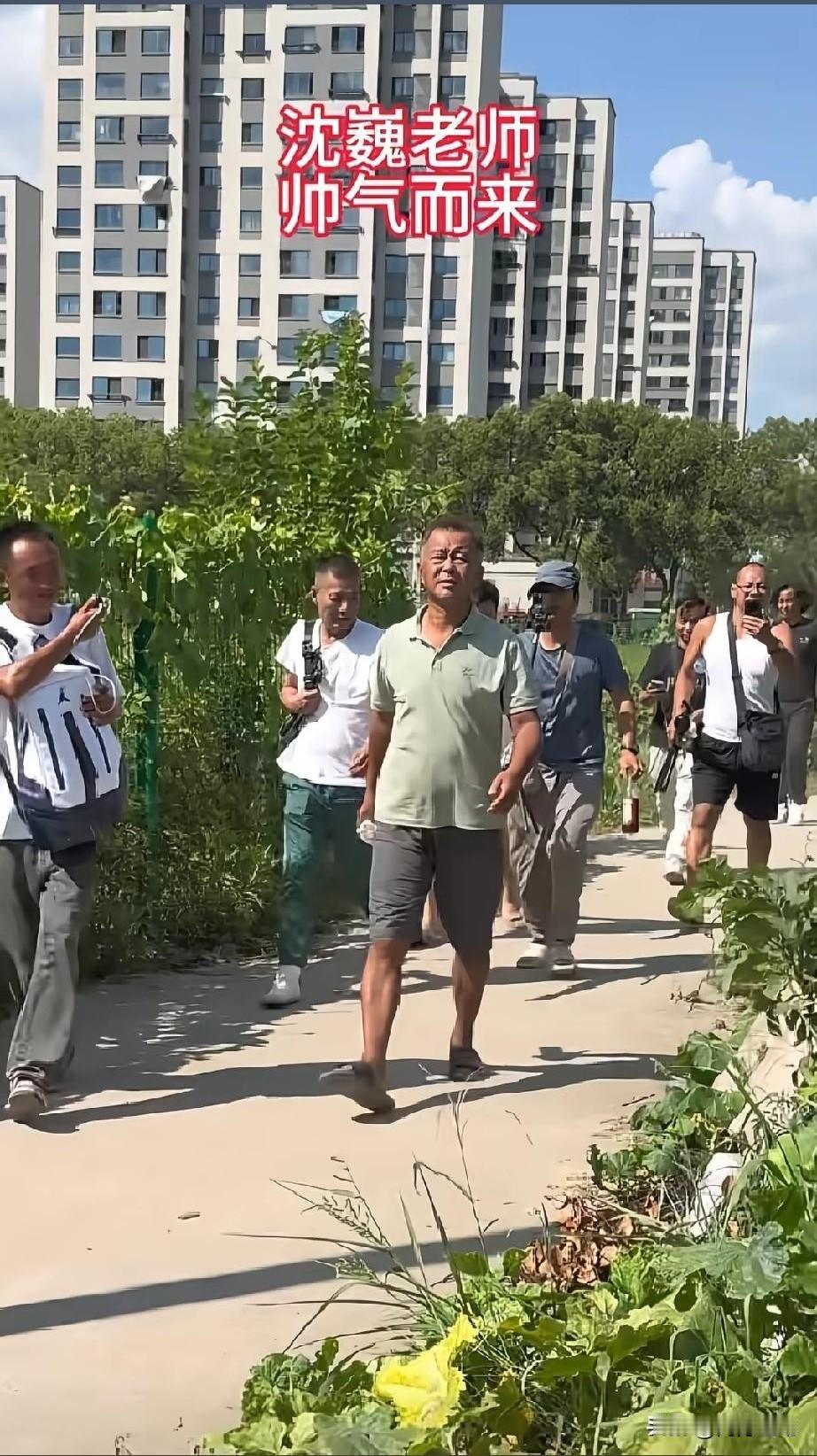 沈巍在上海白鹤镇待了很长一段时间，为啥当地人不烦他还护着他？我去过白鹤镇，说实话