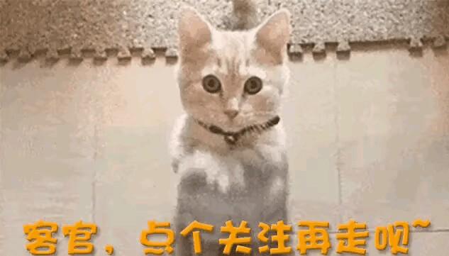 说实话，近几日我玩那手机玩得腮帮子都有那么一点儿发酸。郭德纲被武汉文旅方面立案