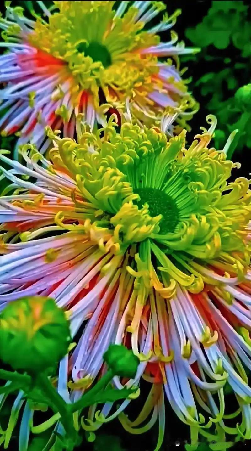 下联:世事悲欢俱若烟。接着对友友们！