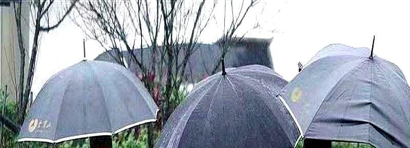 我以前也觉得，小S的婚姻，不过是强撑着给外人看的一场戏罢了。毕竟，“十年没碰我