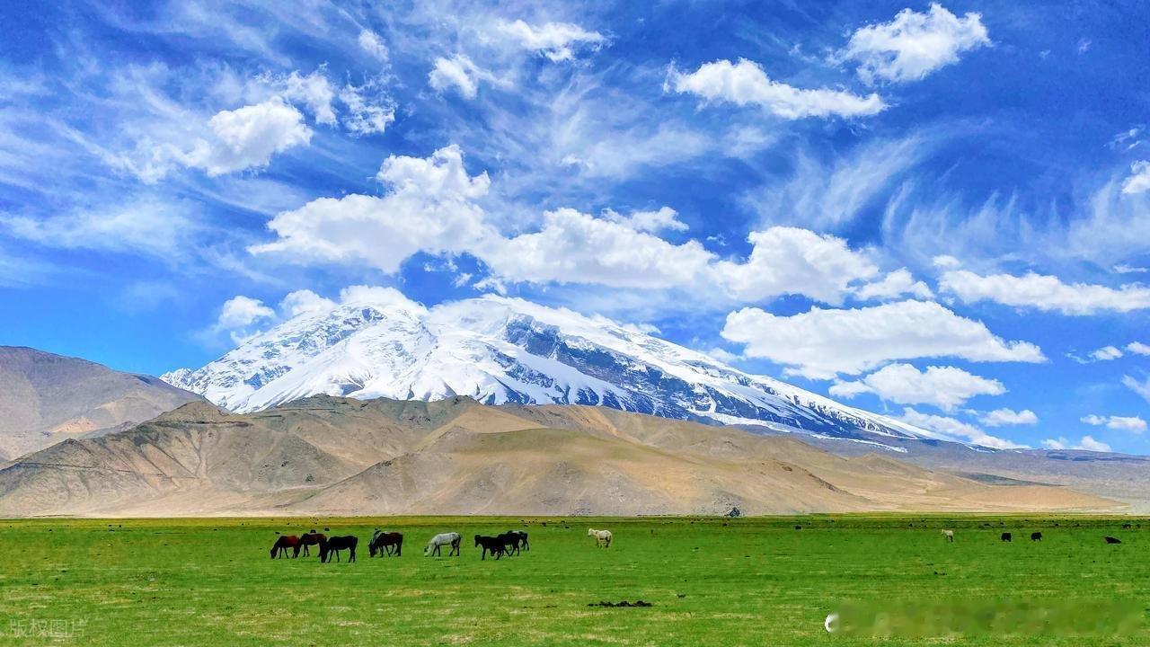 奔赴新疆，赴一场山河之约🏔️赛里木湖蓝得治愈，那拉提草原绿得辽阔，雪山映着晴