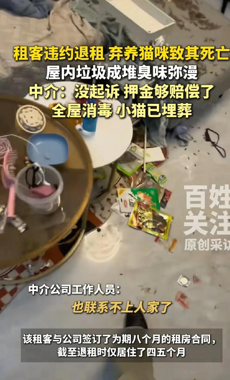 河南郑州，一租客签了8个月的房租，不料，4个月后，就跟中介说要退房，中介想要联系