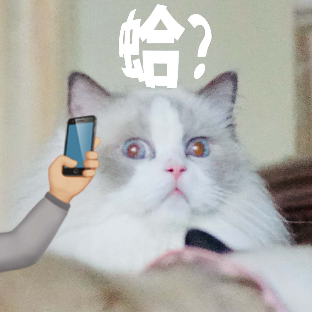 真的很难忍住不给闹哥做表情包……​​​