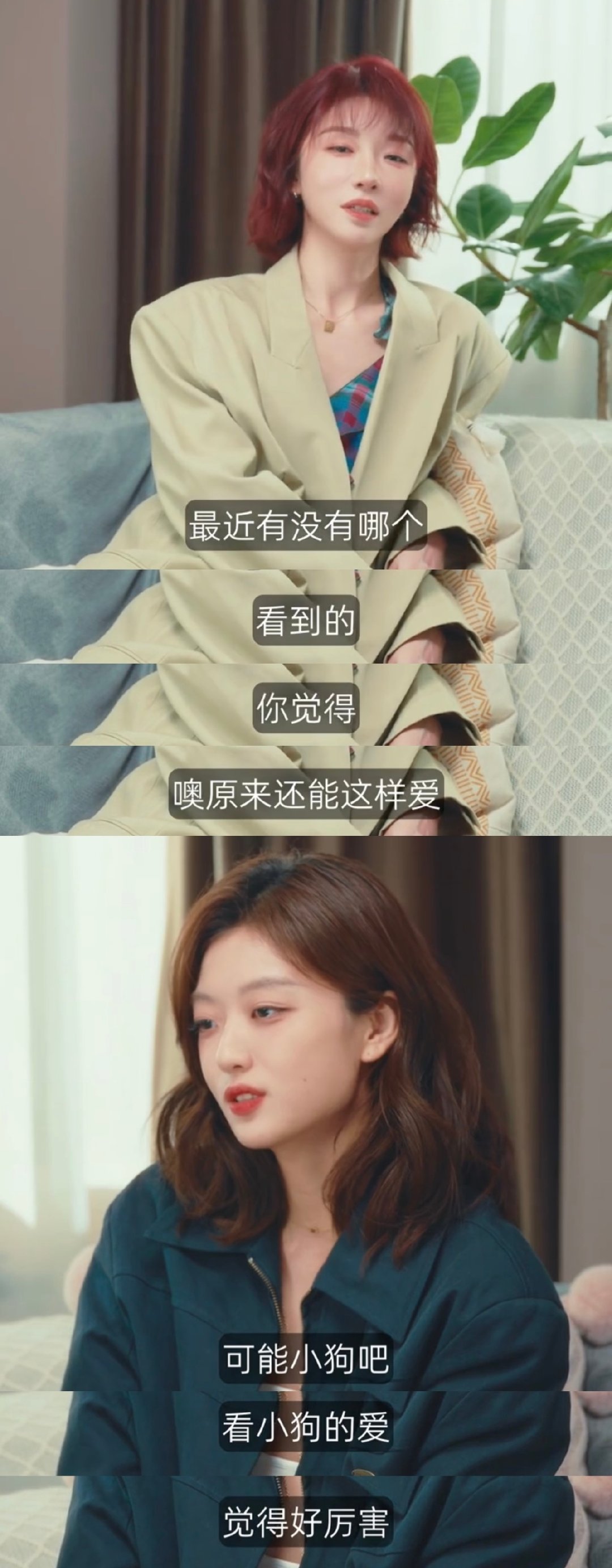 刘恋：你平时会看霸总文吗？孙千：不会看。刘恋：最近有没有看到的哪个你觉得原来还能这样爱？孙千：小狗的