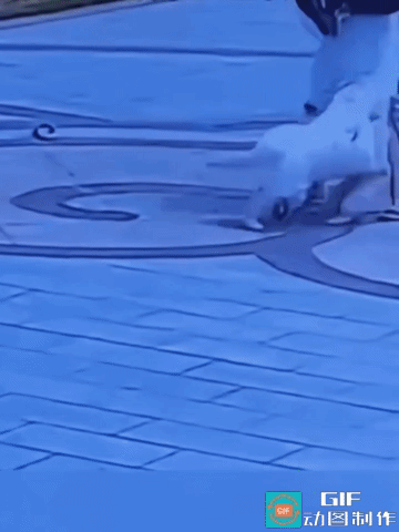 视频很短，也就是二十来秒的时间，让人忍不住看了两三遍。一个熊孩子后面，一定有个