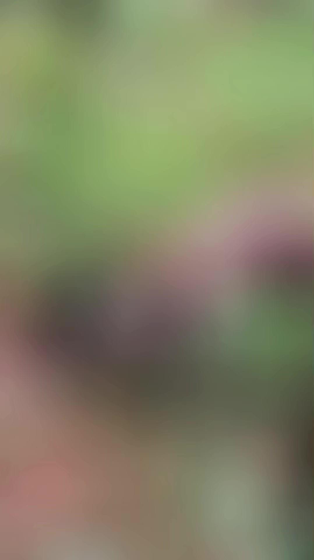 出血性肺炎是林麝养殖中的常见传染病，一旦发现患病个体，千万不能慌乱！很多人会直接