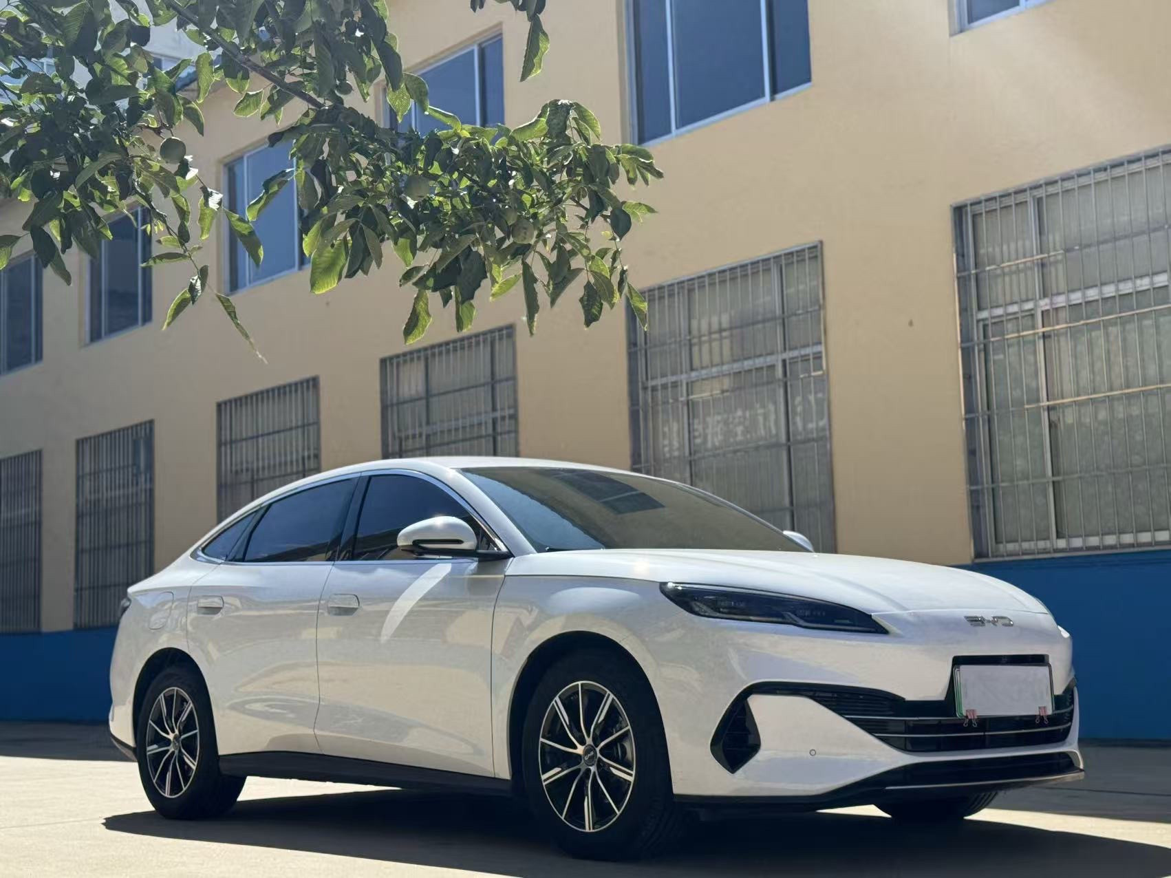 比亚迪海豹062024年DM-i80KM尊贵型6个多