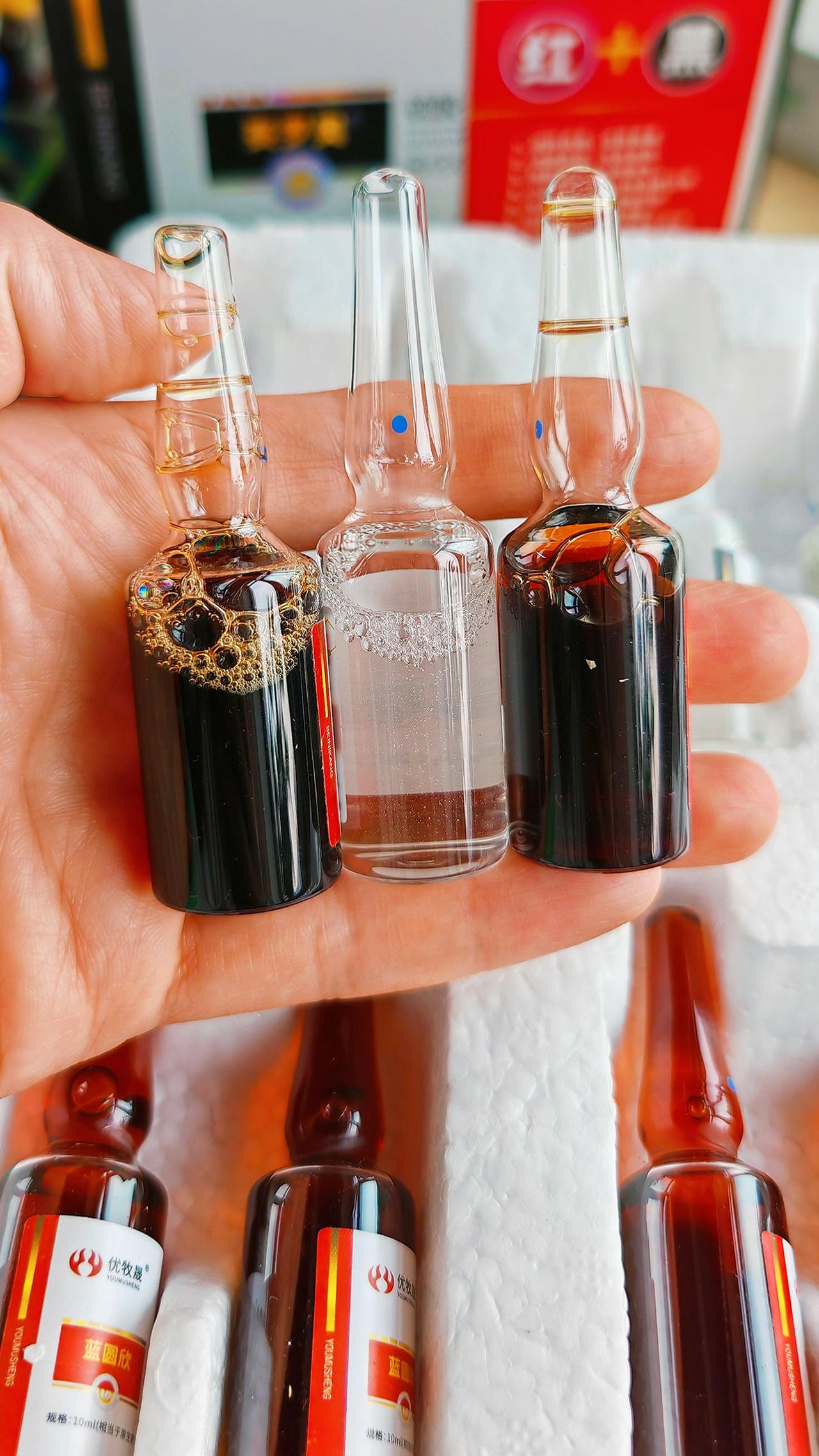 养羊人农村养羊牛羊养殖