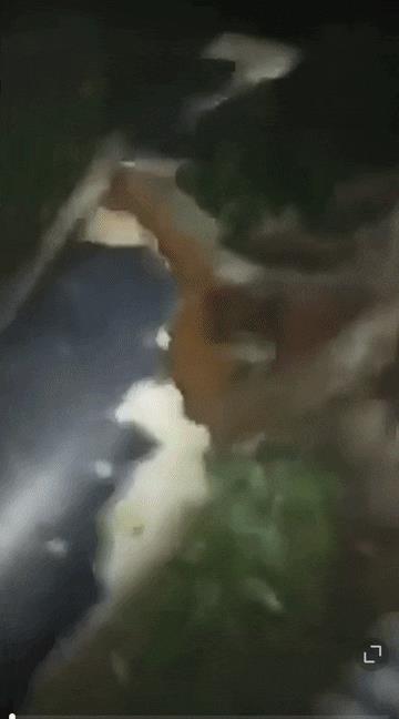 这回，法国达索公司估计要郁闷一下了。印巴刚刚开战，就传出印军战斗机被击落的消息，