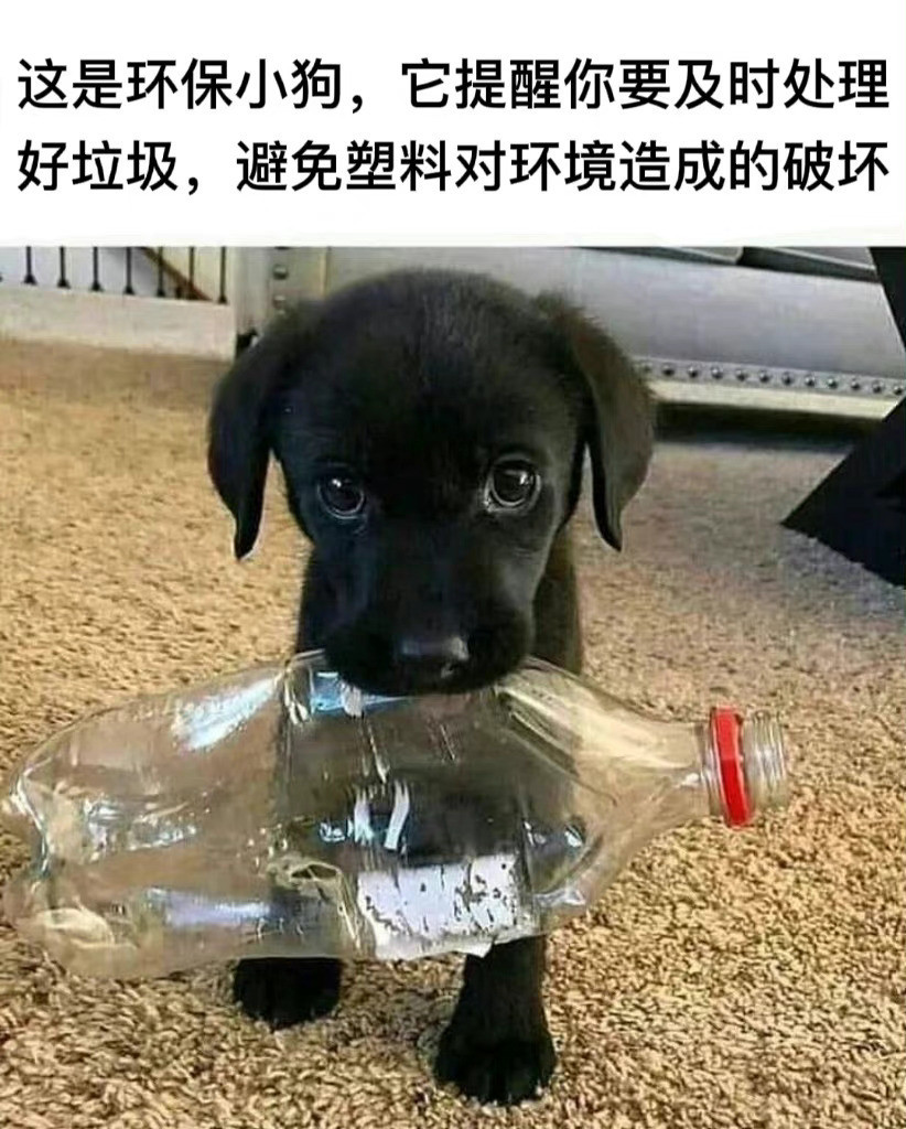 这是环保小狗，它提醒你要及时处理好垃圾，避免塑料对环境造成的破坏​​​