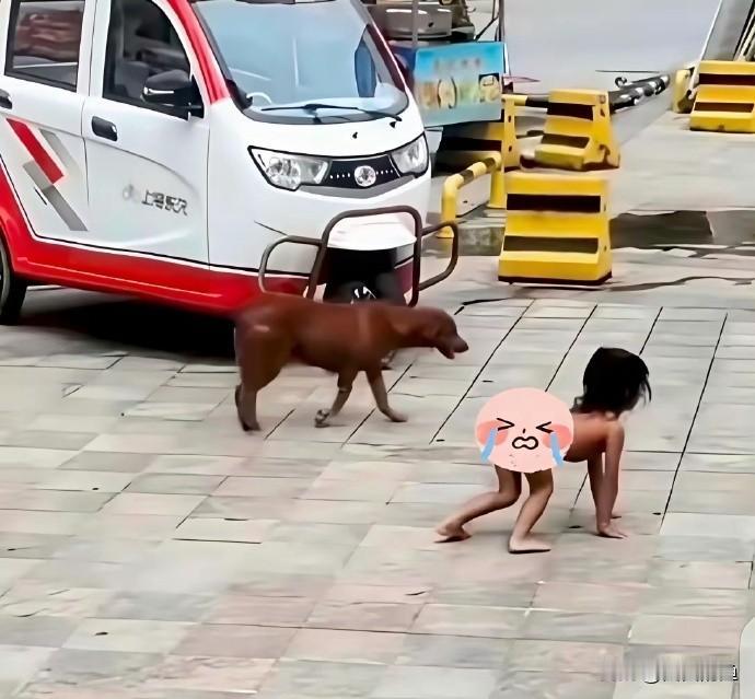 最近网上疯传的那个“野人小孩”一家，看得我真是头皮发麻！小孩他妈绝对不对劲！