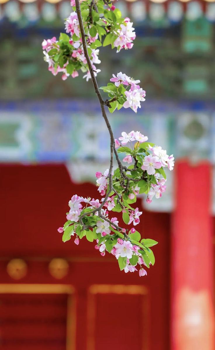 道家有个说法，叫“断缘养魄”端午这日子，表面是安康，内里是道坎。丙午年五月五