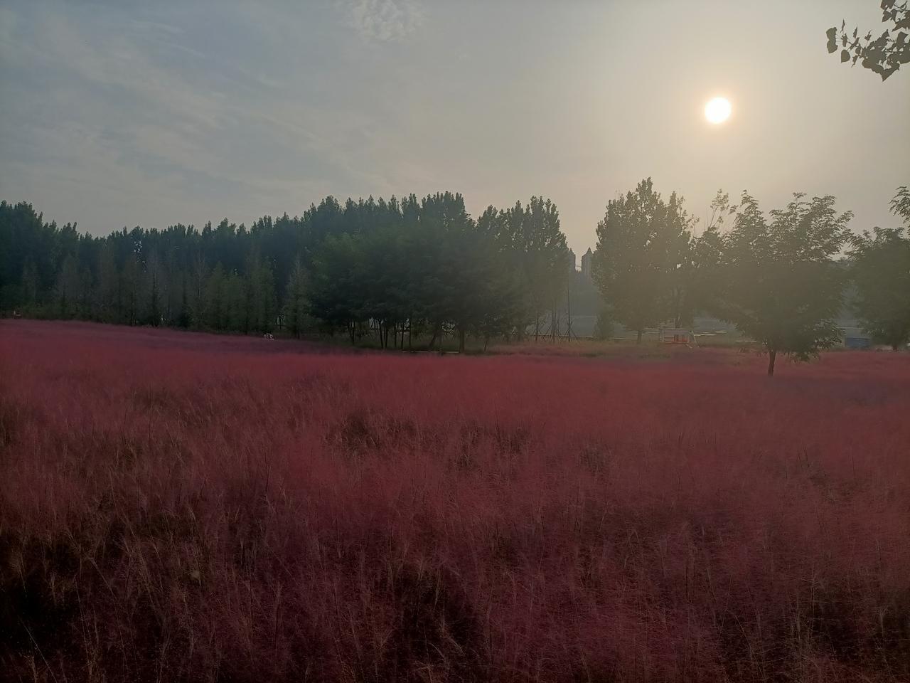 鹑之奔奔卫宣公是个老色批,他本来要给太子急子娶亲,结果看新娘子宣姜漂亮,竟然