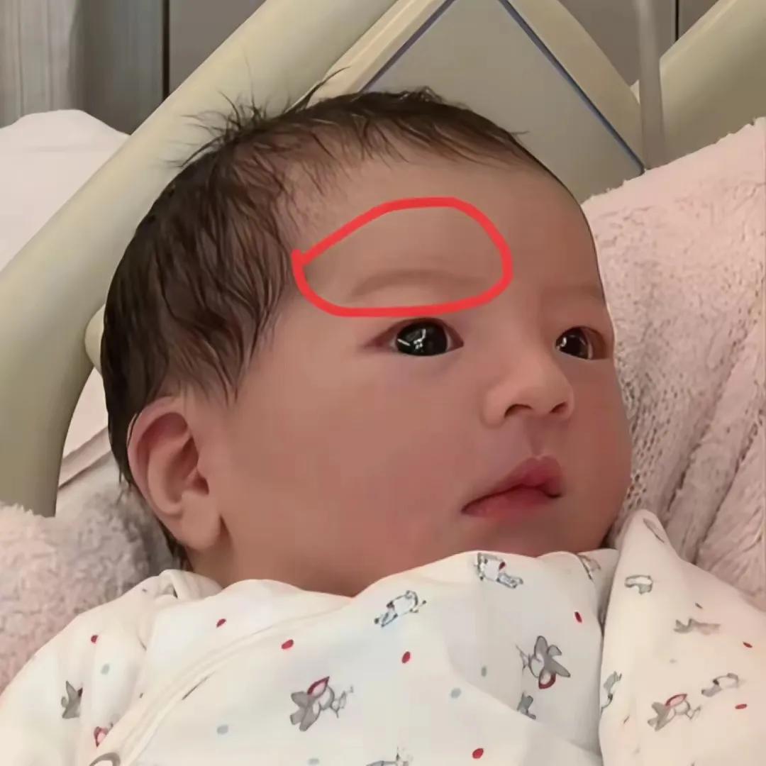 这小家伙是郭富城的三公主她的身份，我没有羡慕，她的眼睛我也不羡慕，但是看到三公