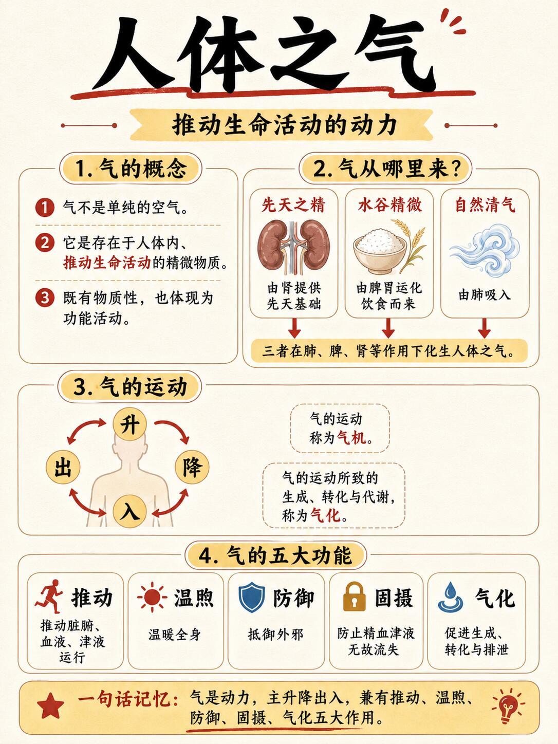 读懂「精气血津液神」=打通中医一半脉络🔥很多人学不懂中医、调理总踩坑根本原因