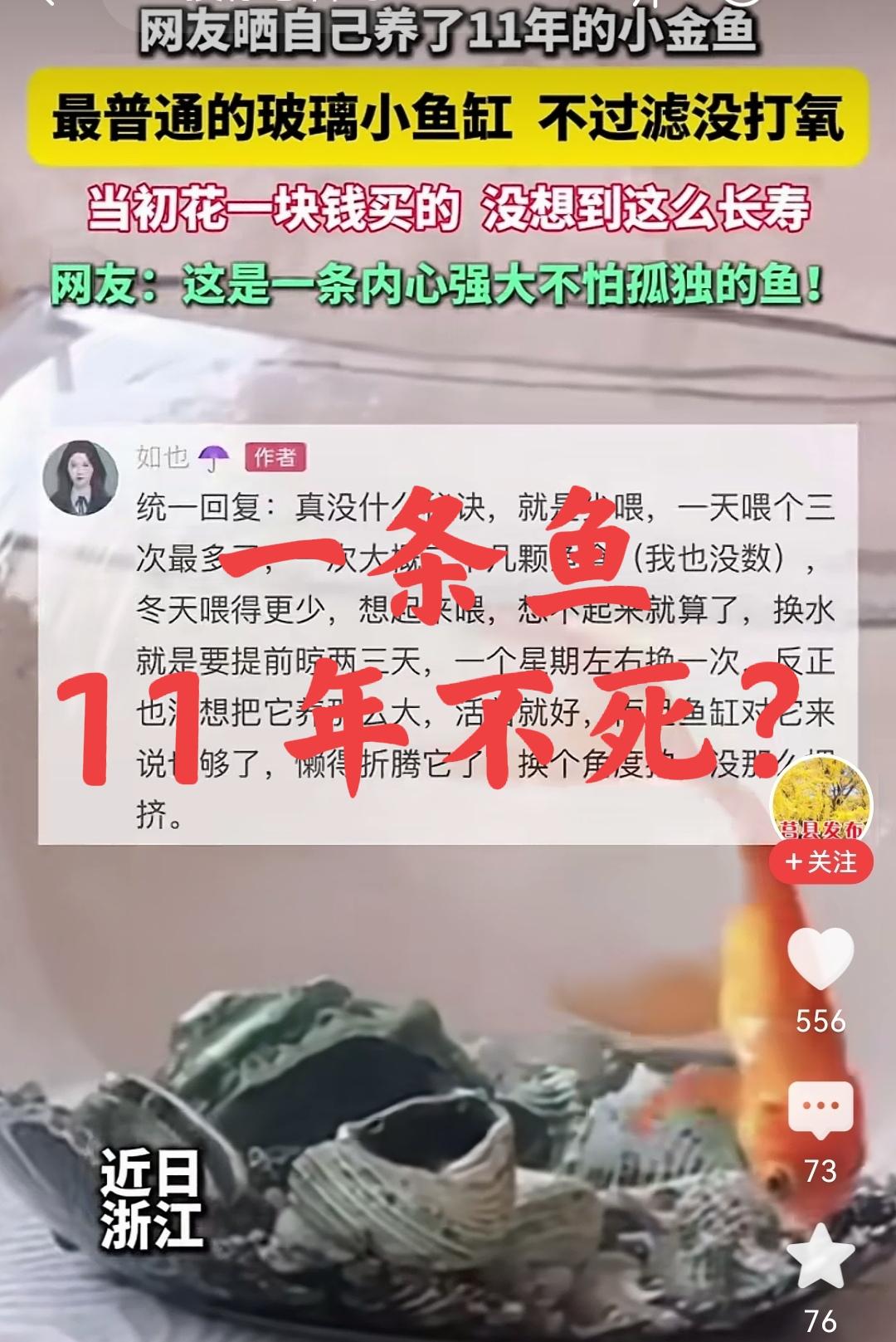 家里是不是还有其他人？有没有可能，她所谓的11年养不死一条鱼，是有个人在“