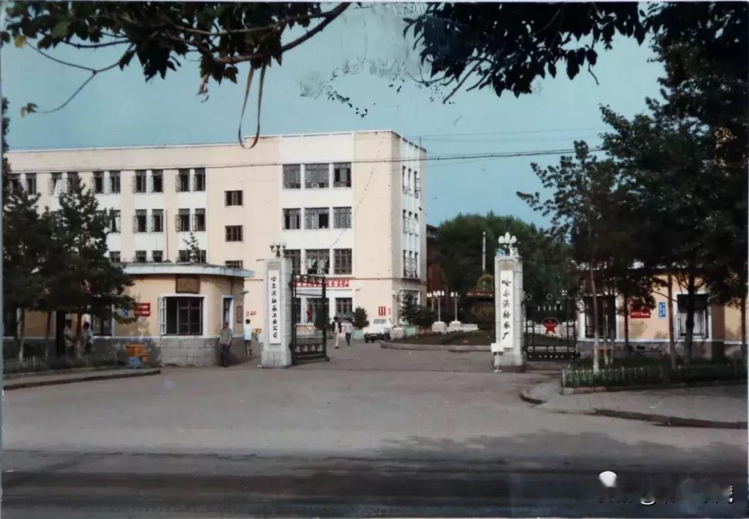 原哈尔滨轴承厂一代人被辜负的真实遭遇在东北老工业基地的发展史中，无数国营企业