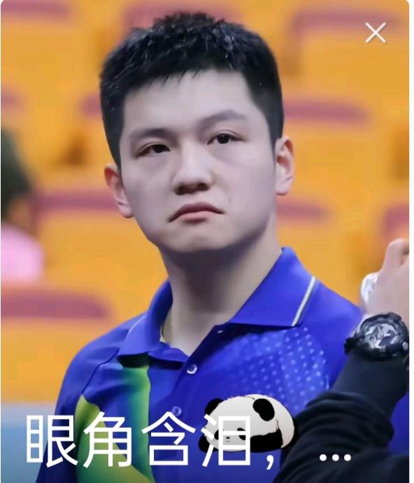 乒坛怪事多！！粉丝的偶像有什么金牌，说什么金牌的含金量极高，没什么金牌，就说什