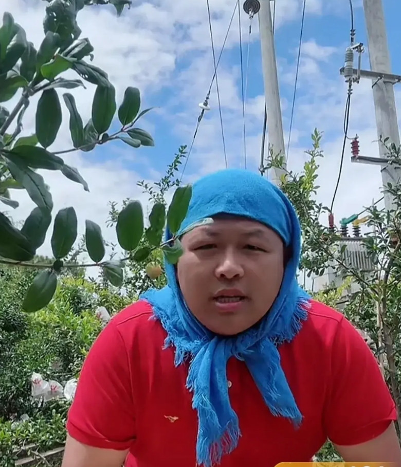 浙大毕业的孟伟在直播卖石榴孟伟，本科浙大毕业，保送浙大直博，博士读了八年未毕业