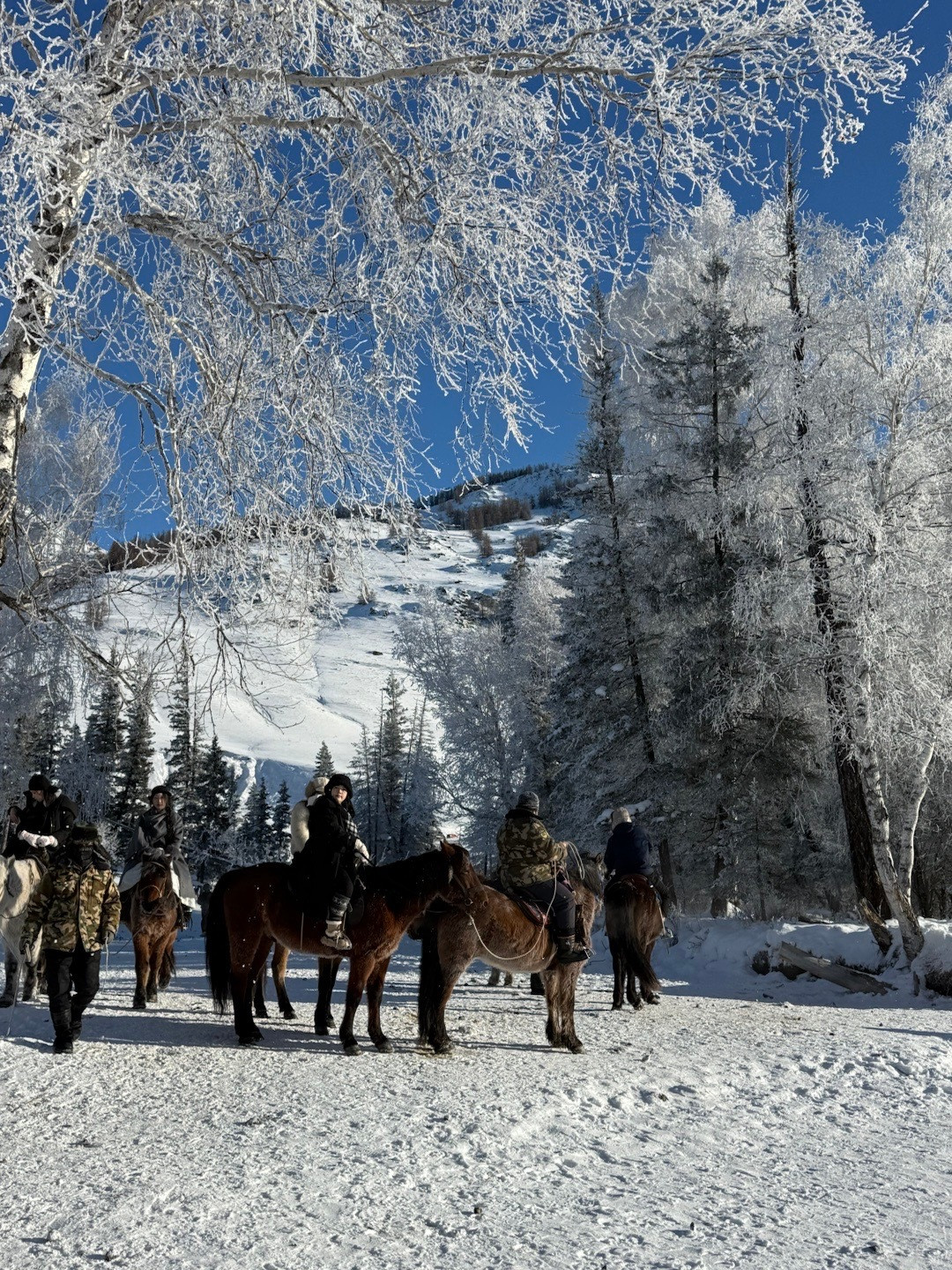 神的喀纳斯阿勒泰·喀纳斯景区