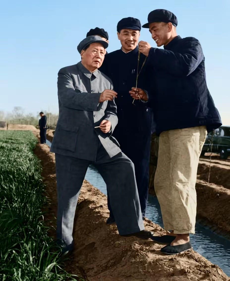 你可能从未见过的一张照片。毛主席站在田埂上，与地方上的同志了解情况。他老人家一生