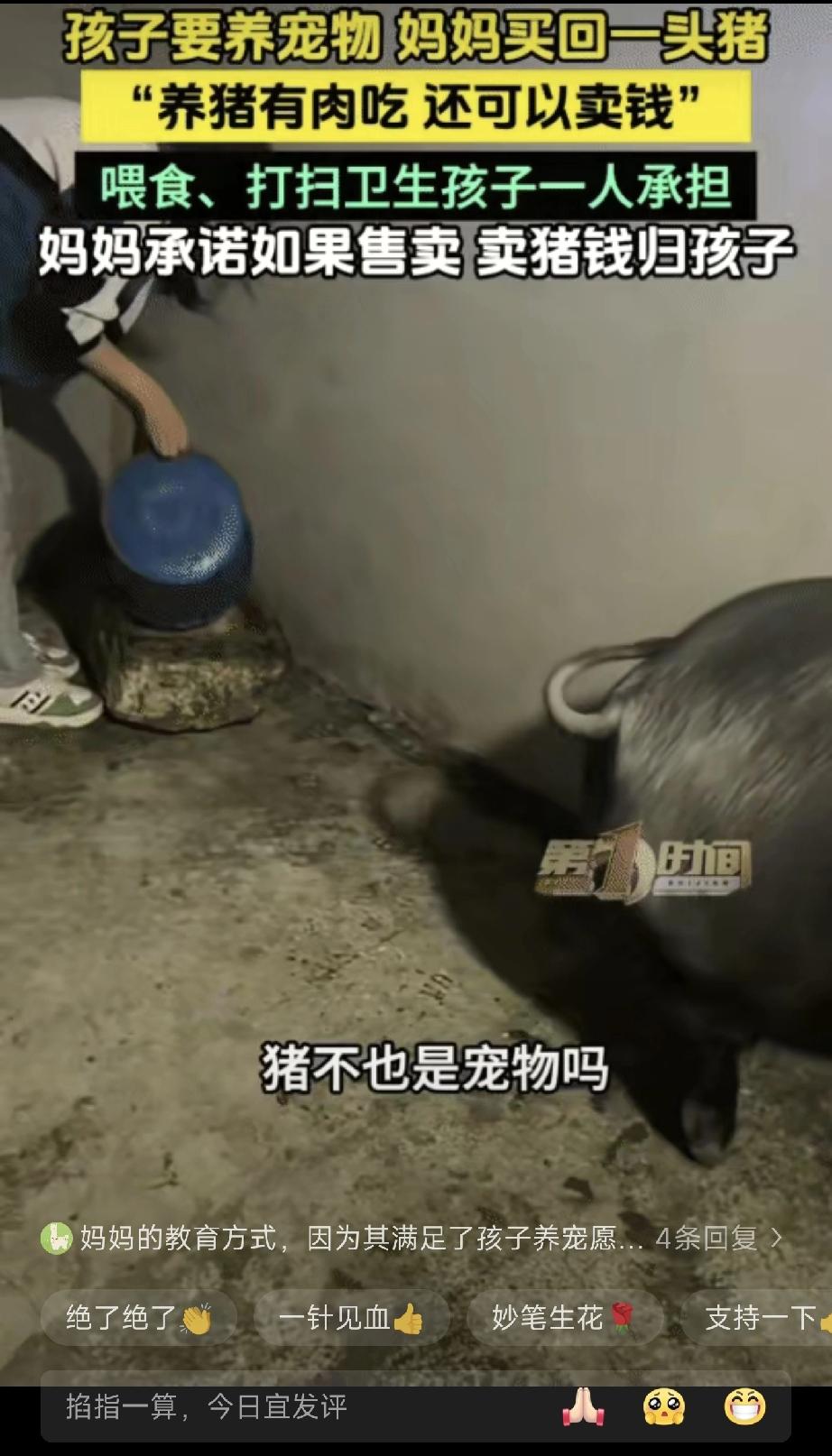 太有经济头脑了！”贵州平塘，孩子要养宠物。没想到，妈妈买回一头猪让孩子养。妈妈跟