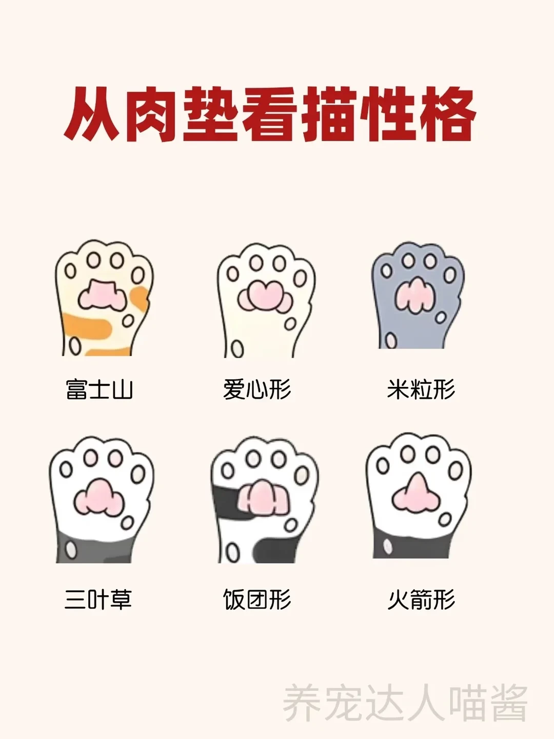 从猫猫的肉垫看性格、养猫必看！