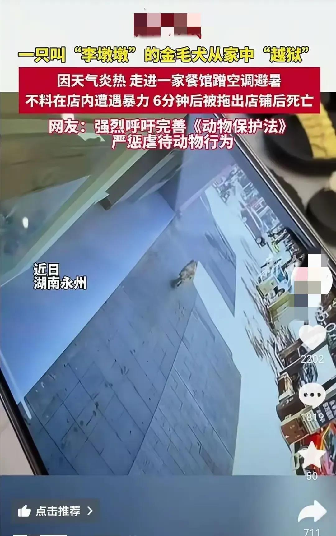 这个永州金毛被打死的事件已经双方和解了，最后店老板损失了金钱，狗失去了生命，可是