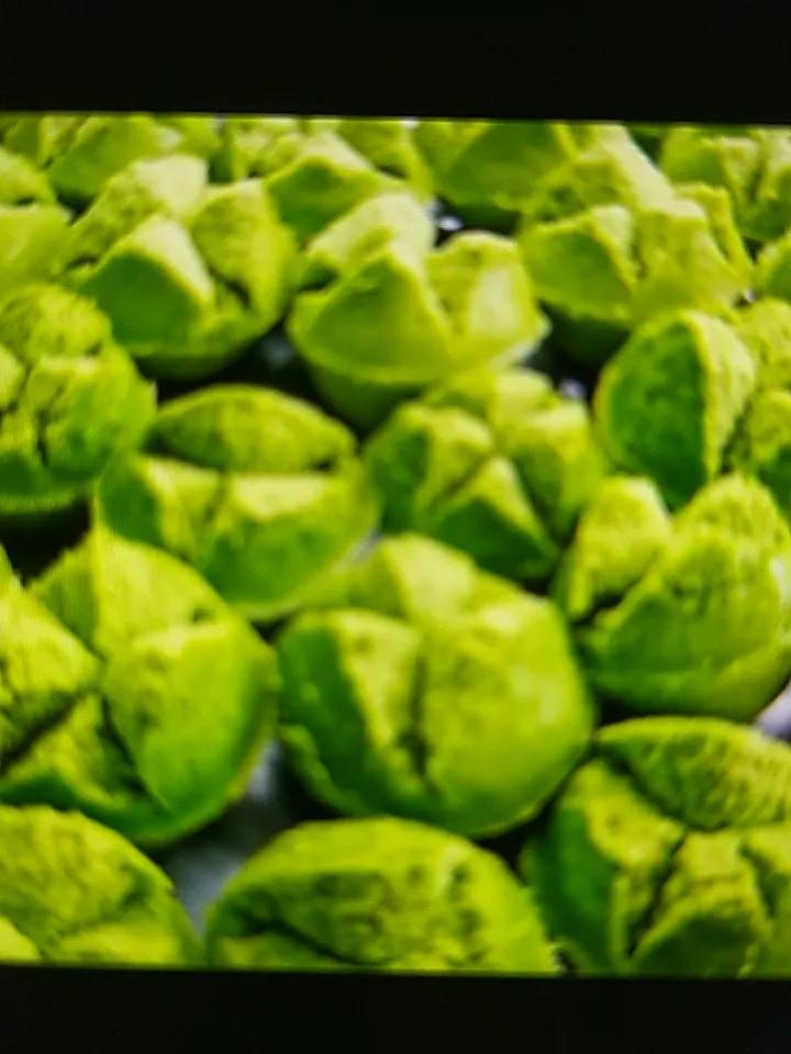 春天到了，新年爱好必须是挖野菜，摘朴籽叶做朴籽粿。春天朴籽树刚发出嫩叶，釆摘