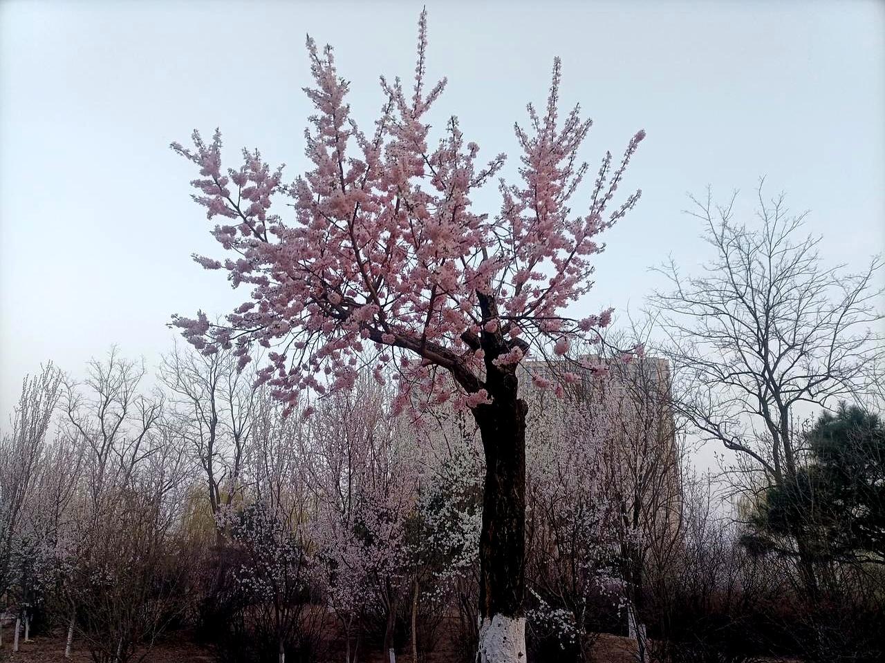 有孩子的都听好，尤其是娃刚住校或上大学的，这8条红线一定得反复叮嘱！说白了，很