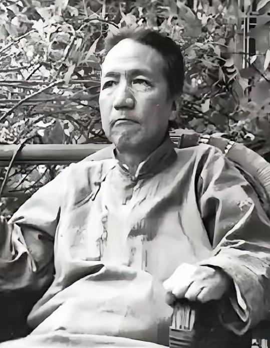 1941年，几个日本兵闯入一位中国老人家中，双目失明的老人用流利的日语厉声斥责。