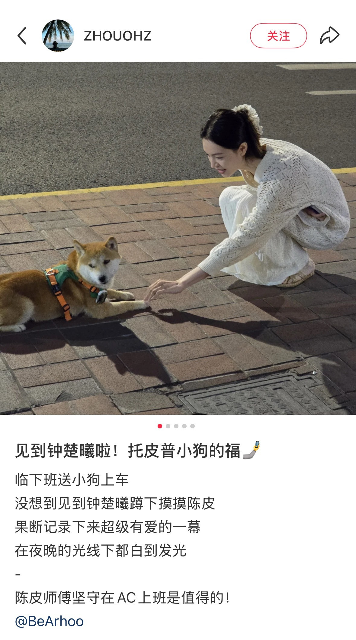 偶遇钟楚曦撸自己的狗😘​​​