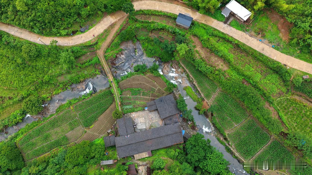 夏日生活随记当大多数人选择在晴空万里的日子踏上摄影之旅，我却偏爱在雨幕中远行。雨